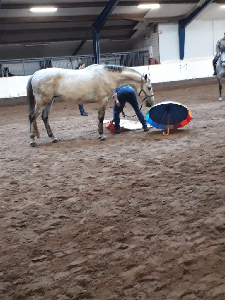 IMG-20190514-WA0001(nieuw)