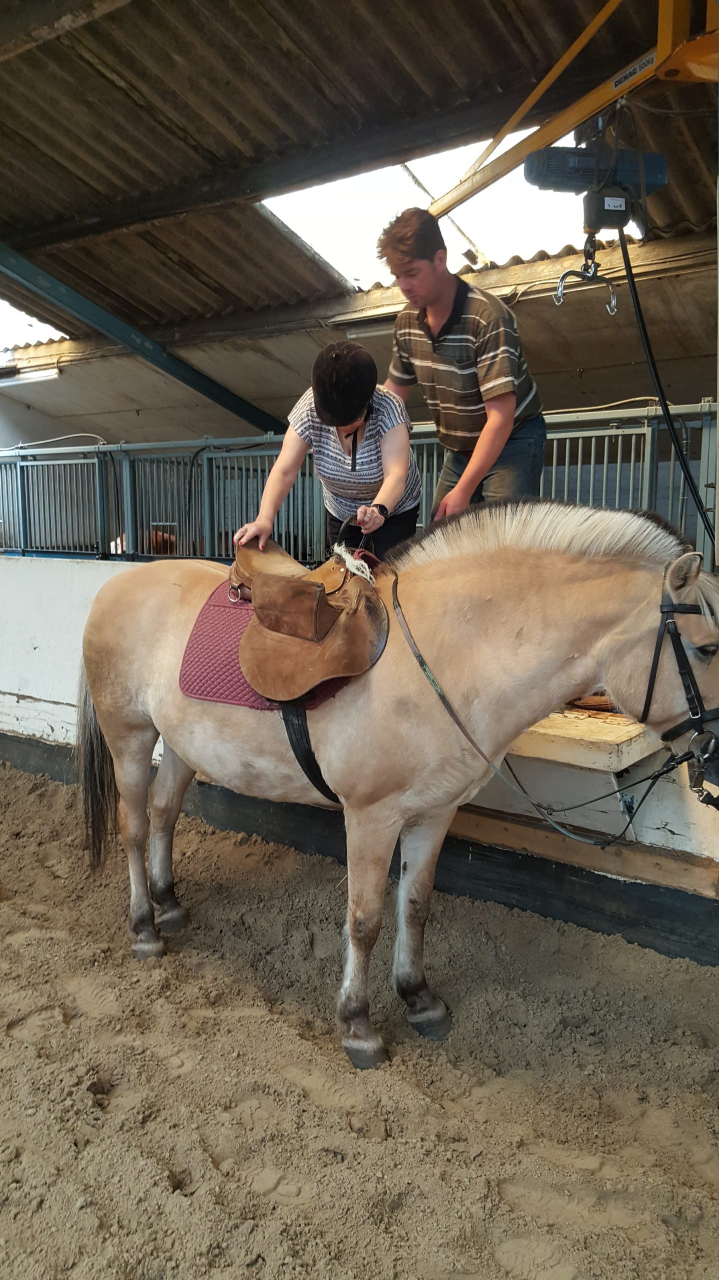manege-hoogenweglessen-voor-mensen-met-een-beperking-manege-hoogenweg