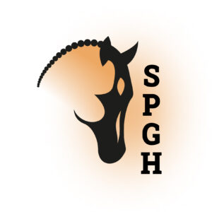spgh-logo-metglow--0224