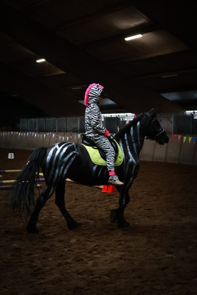 carnaval te paard (28)